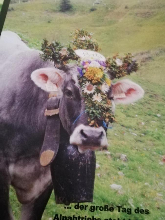 Ferienwohnung Auszeit Dornbirn Luaran gambar